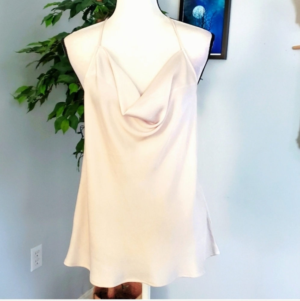EXPRESS Drape Front Semi Sheer T-back L